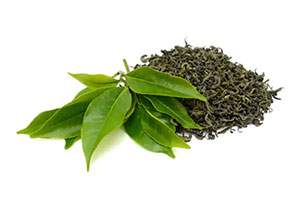 Green Tea Extract สารสกัดจากชาเขียว